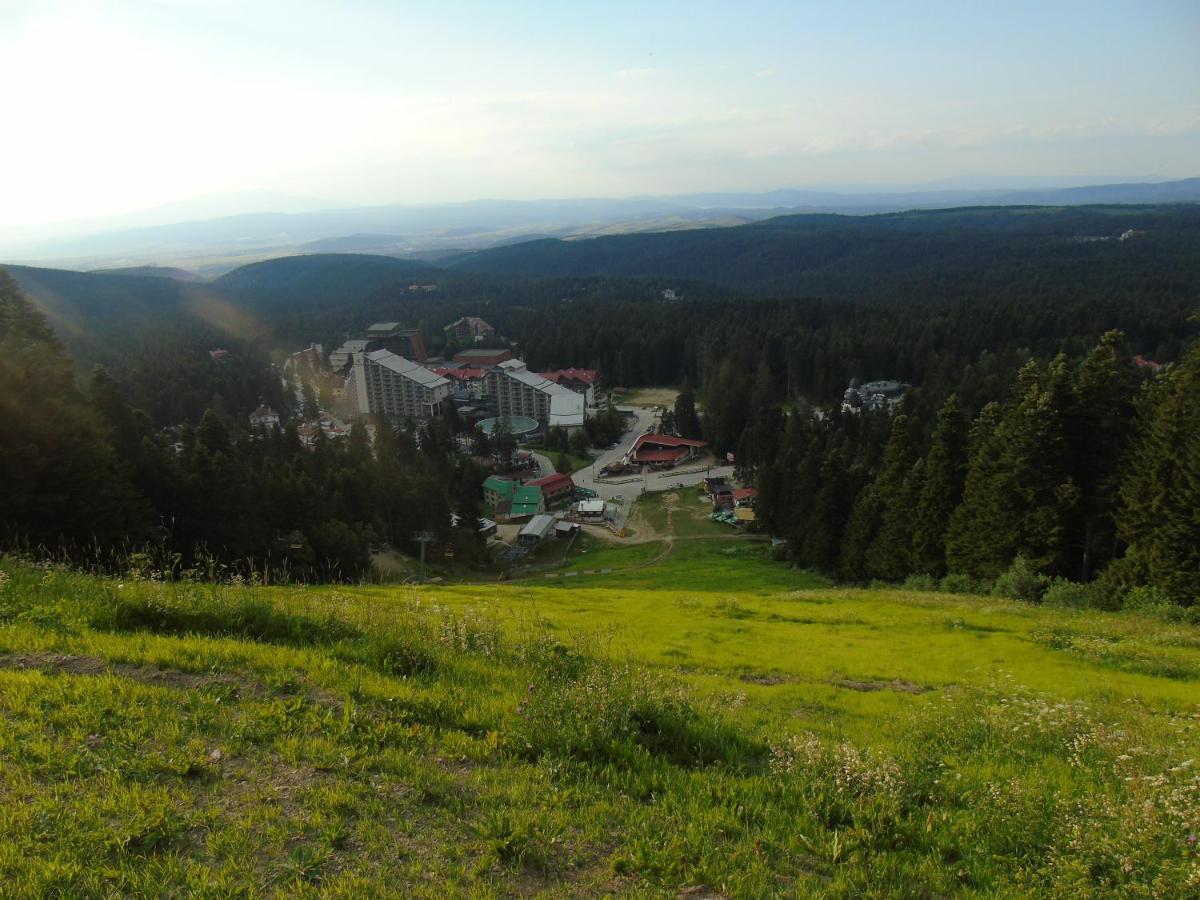Хотел Флора Private Studio All Seasons Borovets Dış mekan fotoğraf